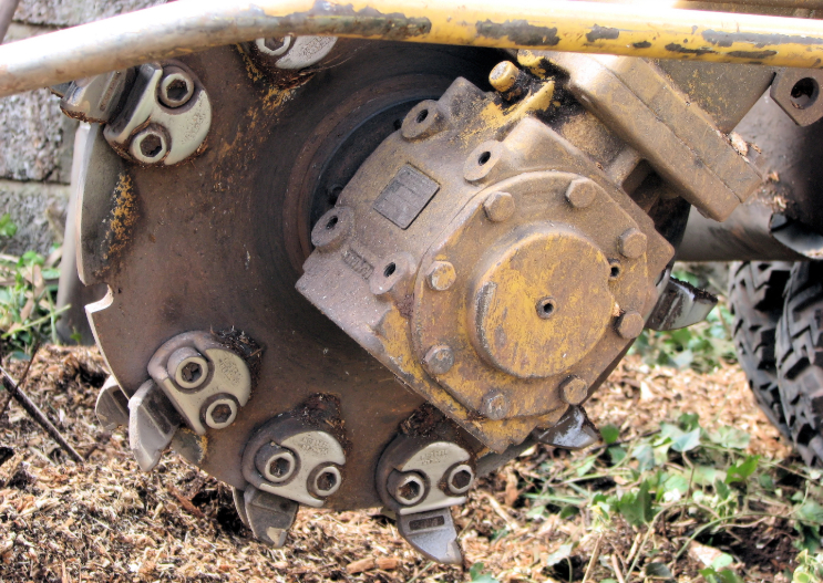 this image shows stump grinding in Costa Mesa, California
