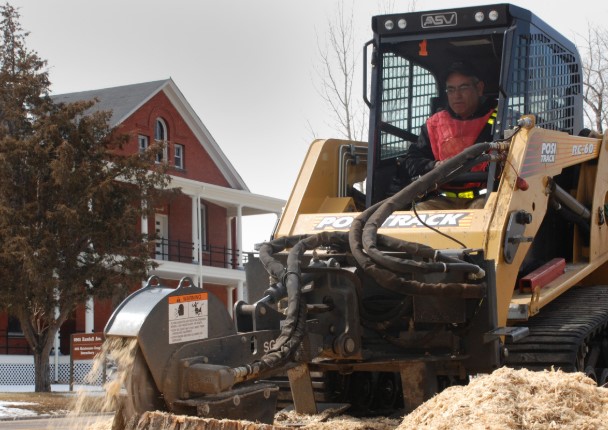 this image shows stump removal in Costa Mesa, California